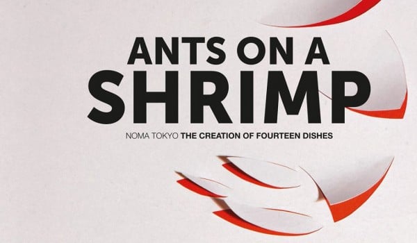 Ants on a shrimp