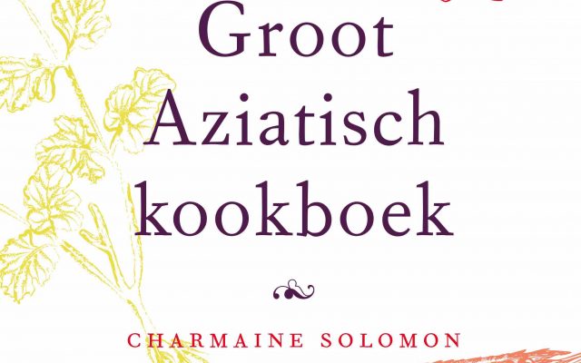 Groot Aziatisch kookboek