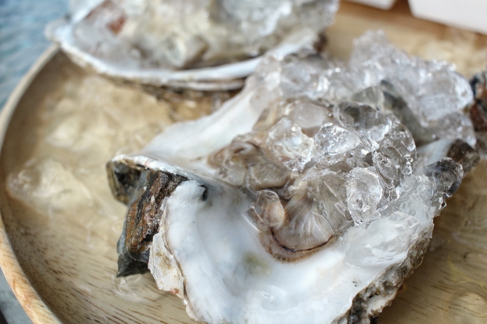 Lustopwekkende eten: oesters