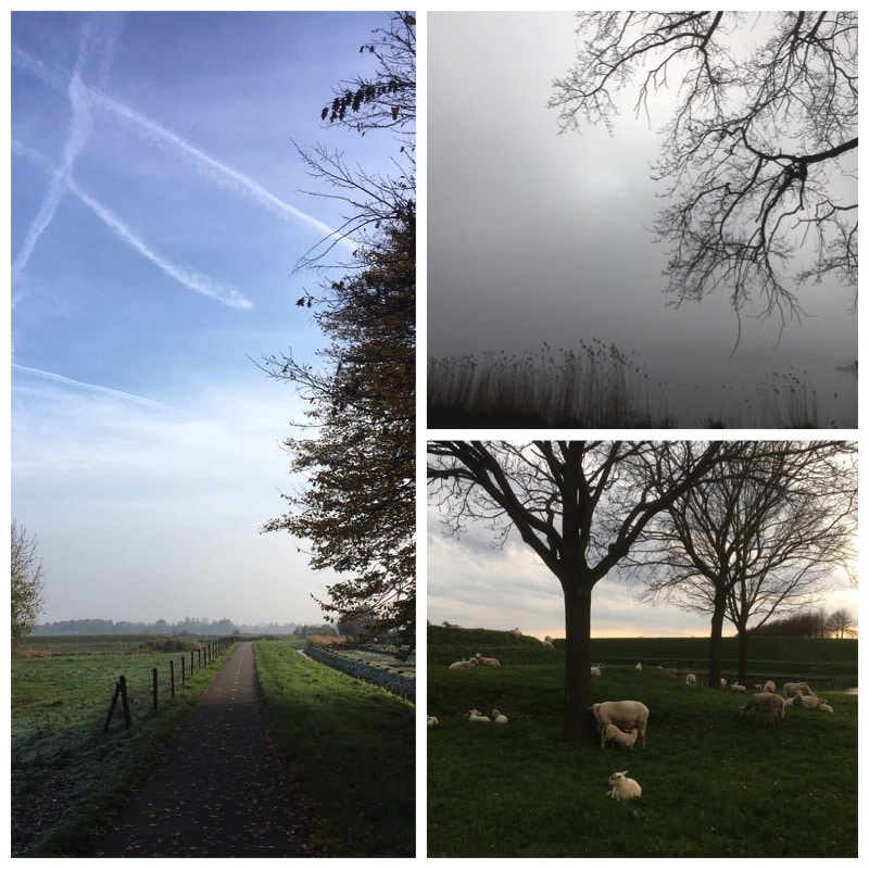 Collage Brabant