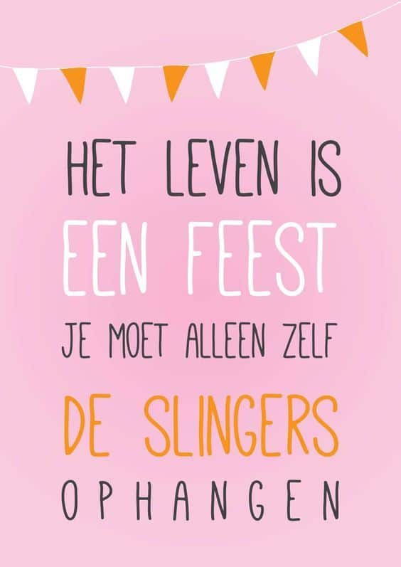 Het leven is een feestje