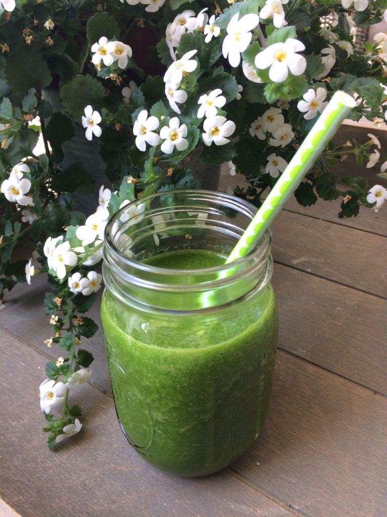 byzoo vacuümblender giraffe komkommer smoothie