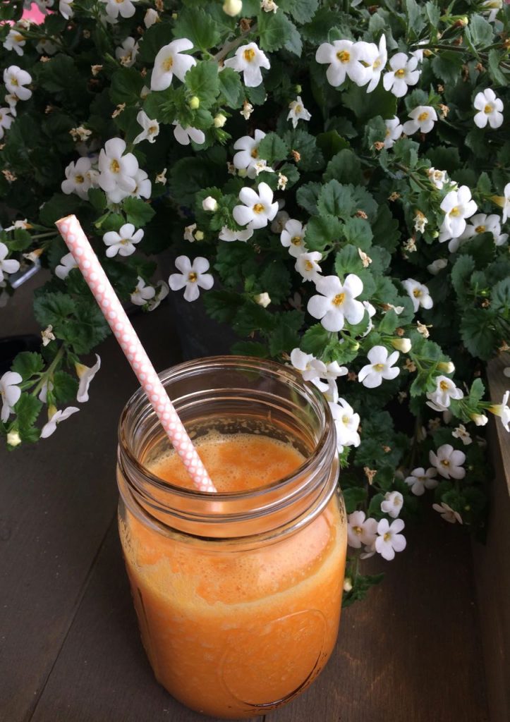 byzoo vacuumblender giraffe wortel smoothie