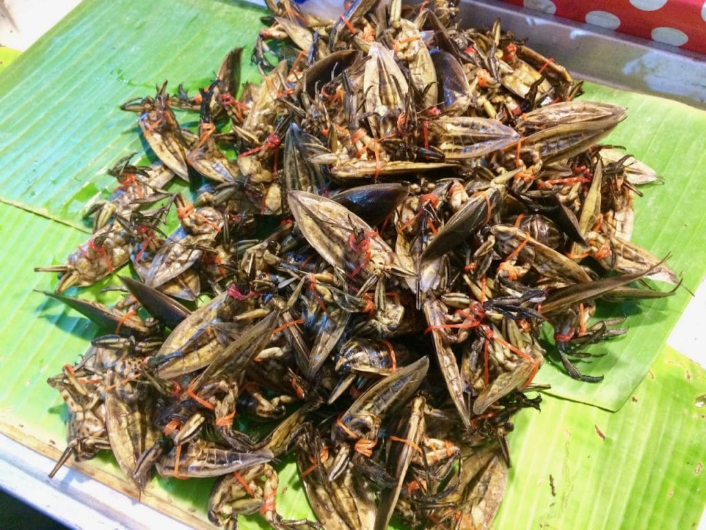 vakantie in Thailand