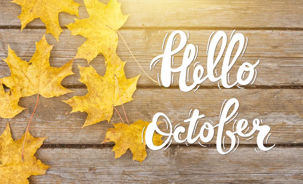 my happy life oktober 2017