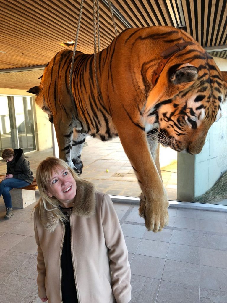 museum beelden aan zee