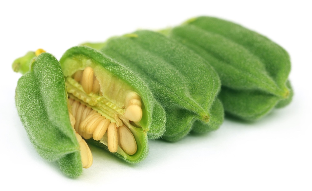hoe groeit ons eten - sesam