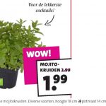 nutteloze pakjes en zakjes - mojitokruiden