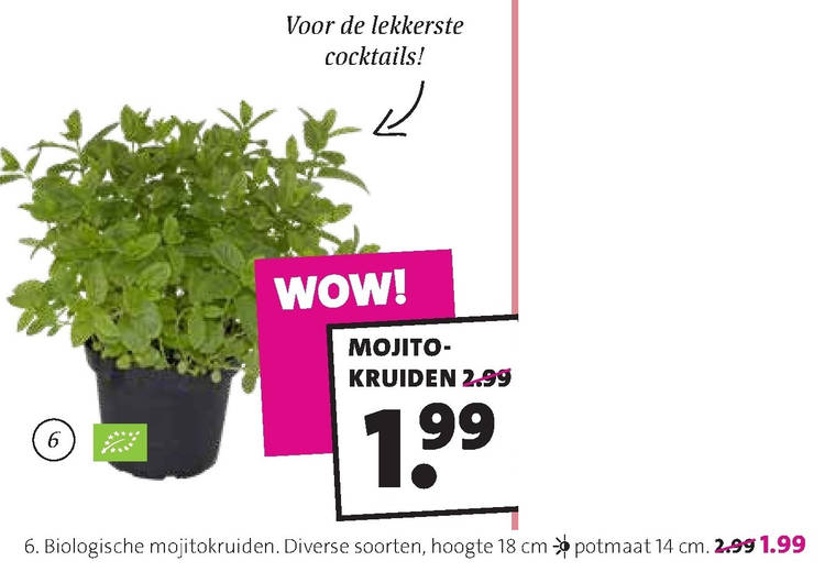 nutteloze pakjes en zakjes - mojitokruiden