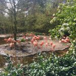 Vogelpark Avifauna