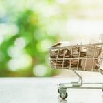 boodschappenwagen met geld