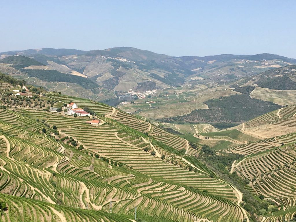 Rondreis door Spanje en Portugal: Douro vallei