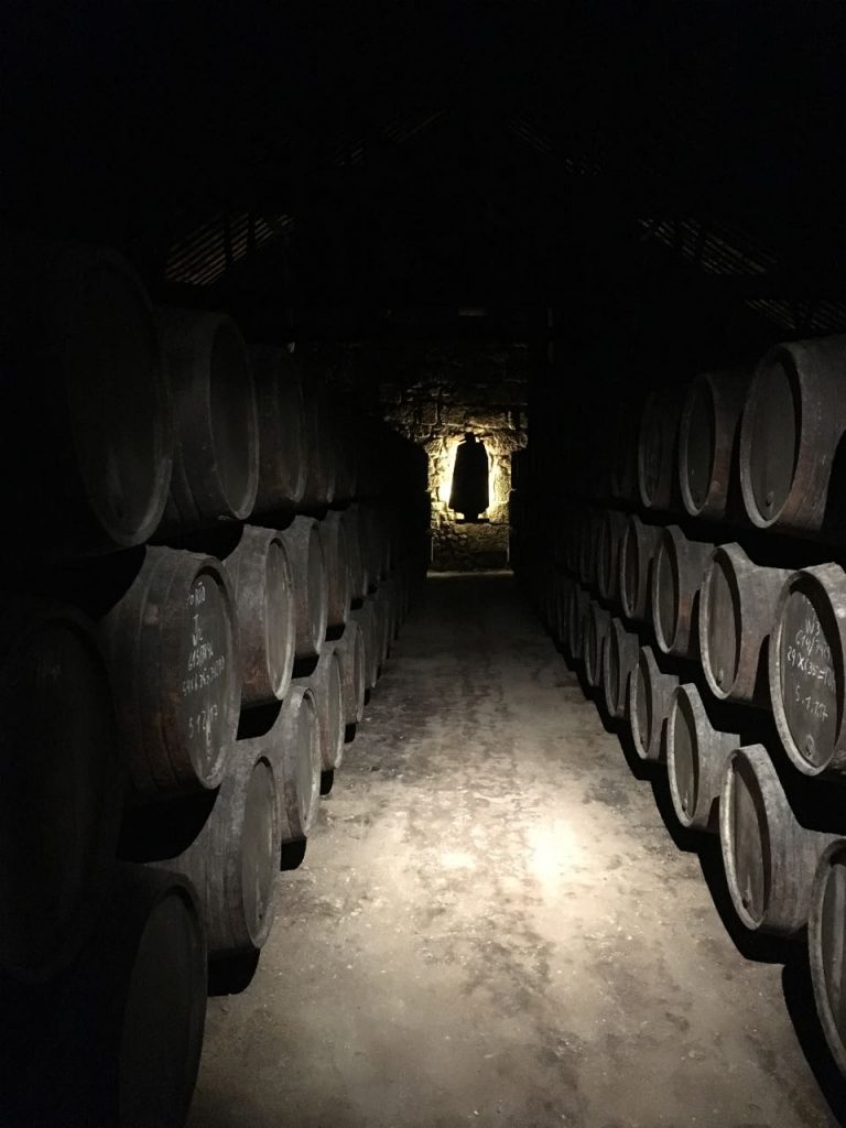 Alles over port - Sandeman portkelder