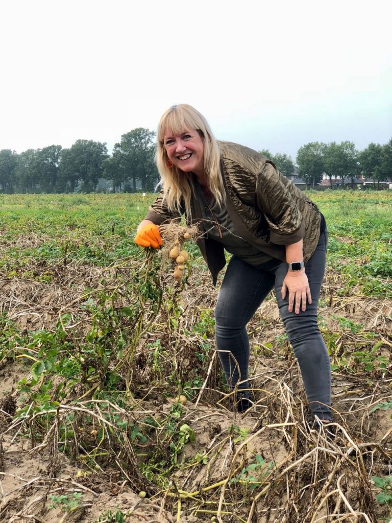 geschiedenis van de aardappel