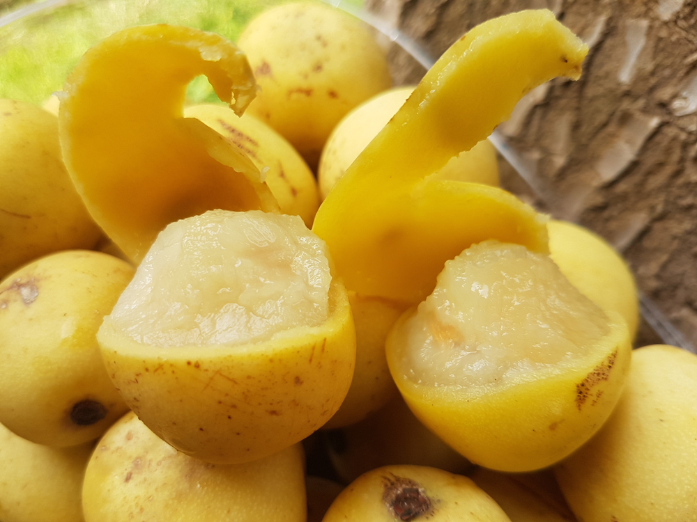 marula vrucht
