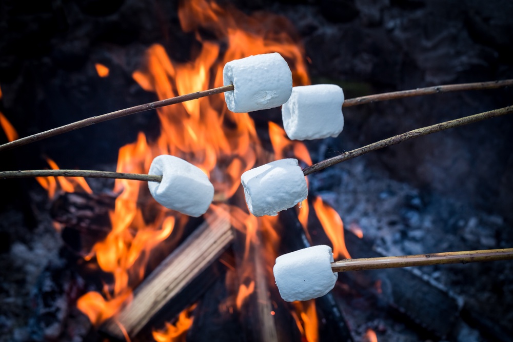winter barbecue marhsmallows - barbecueën het hele jaar