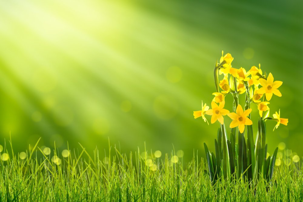 My happy life februari 2019 - lente!