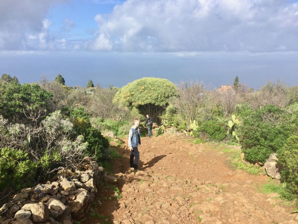 wandelroutes op La Palma