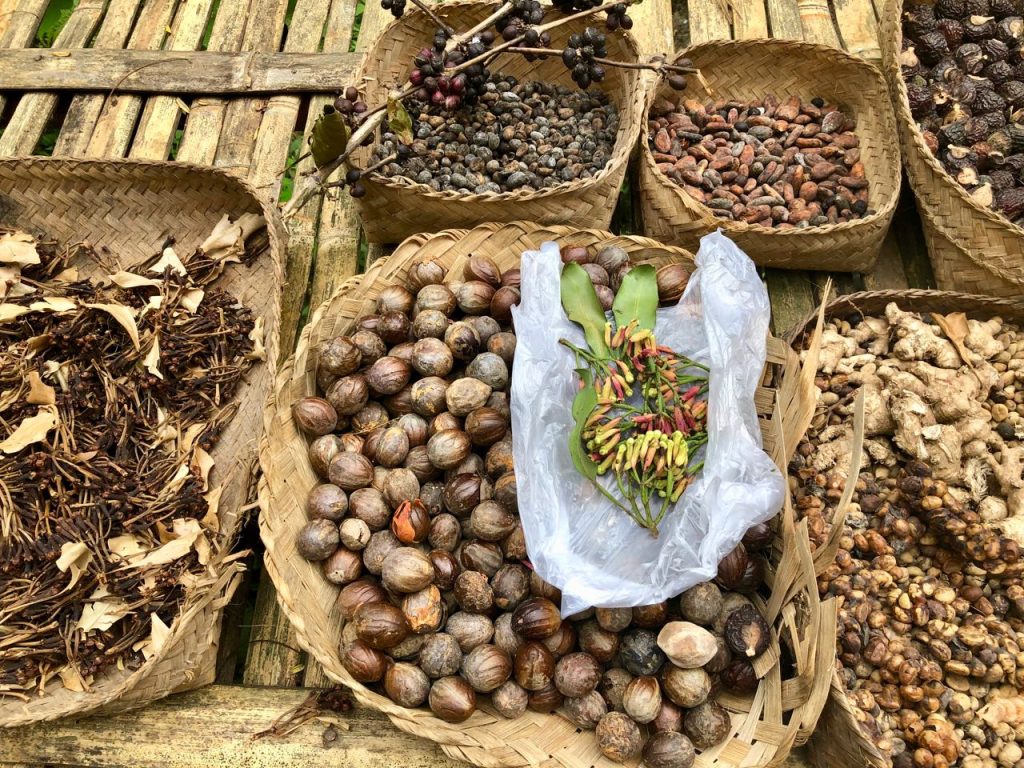 kopi luwak