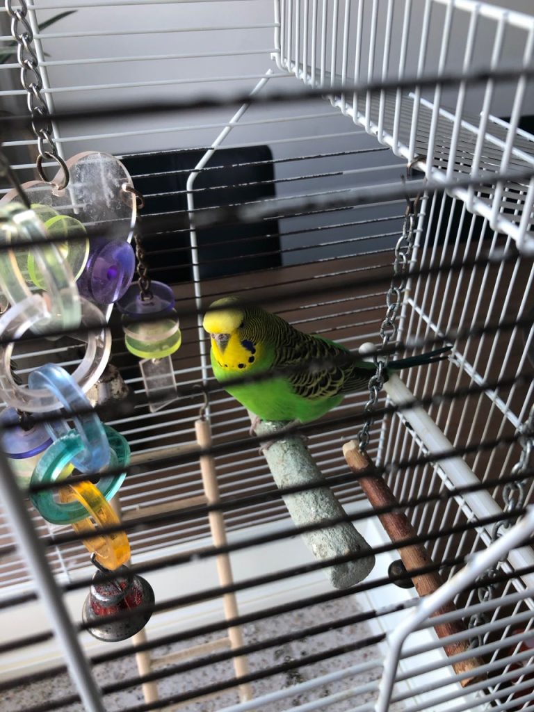 My happy life september 2019