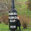highlights van Madeira