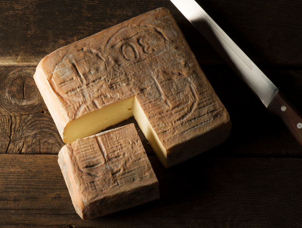taleggio uit pavia