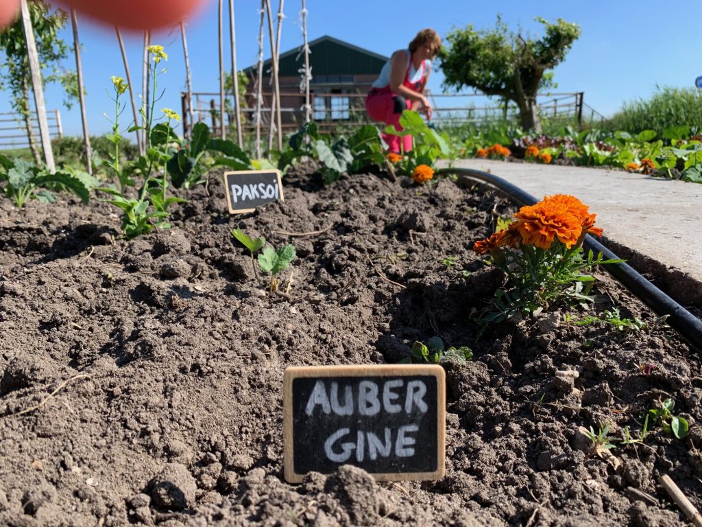 moestuin