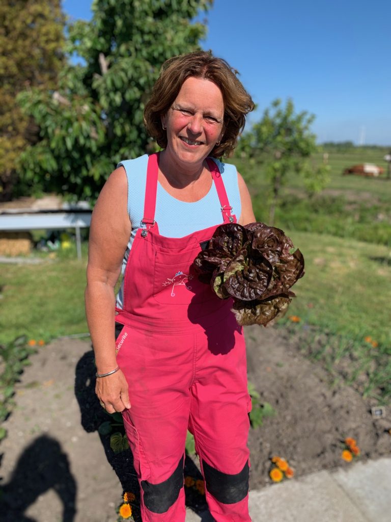 moestuin