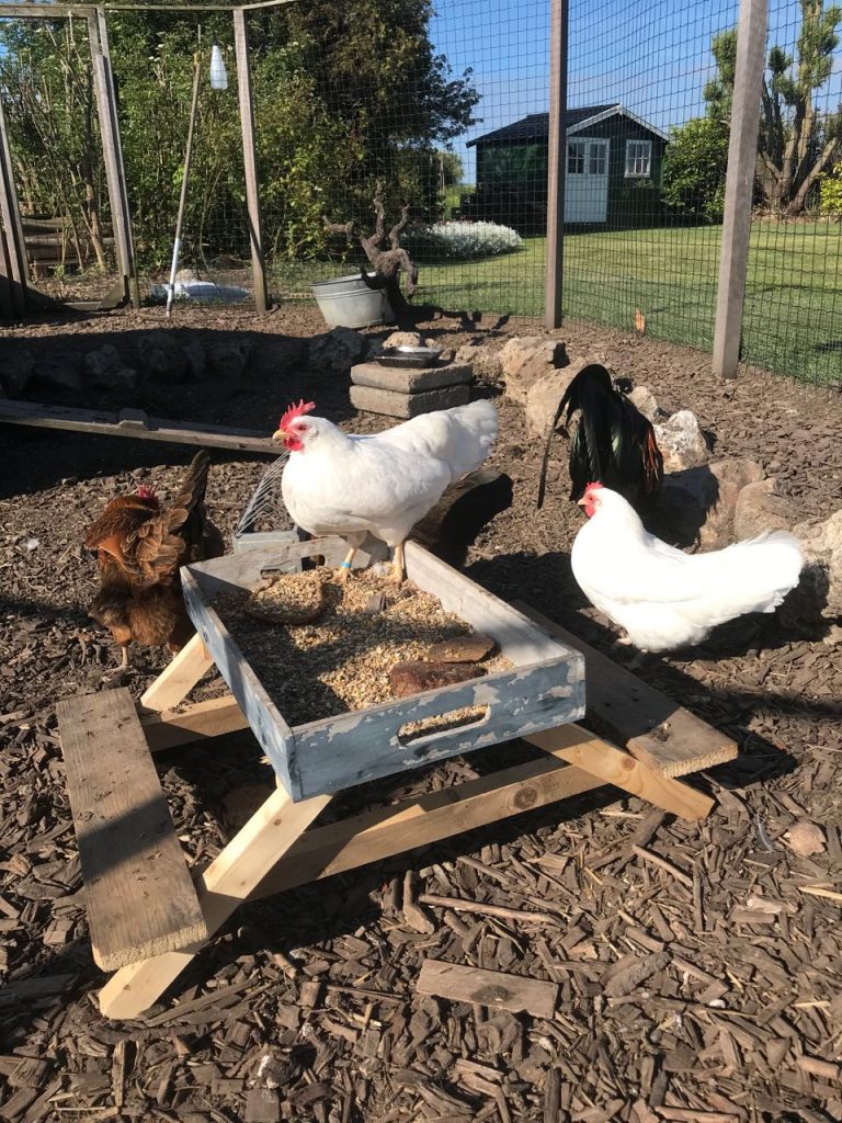picknickbank