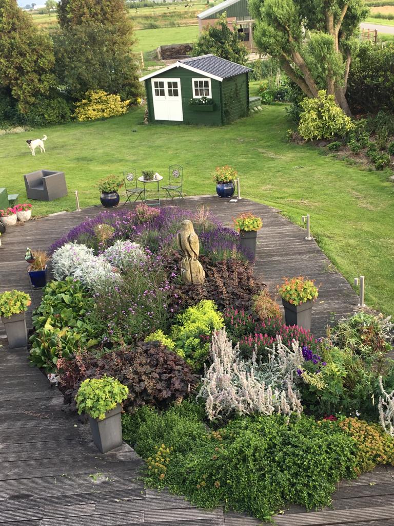 uit de moestuin - tuin
