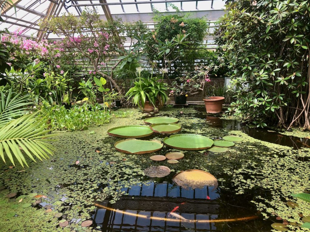 Hortus Botanicus