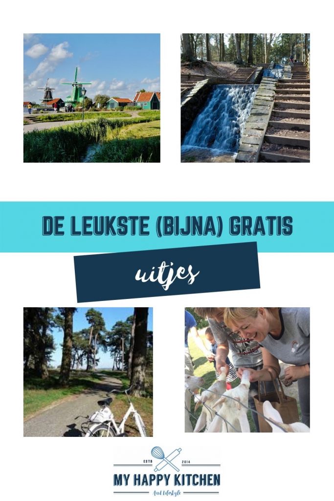Pinterest pin uitjes
