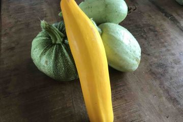 Uit de moestuin - courgettes