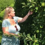 Marlene appels