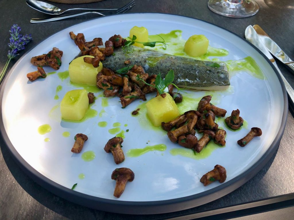 Forel met cantharellen