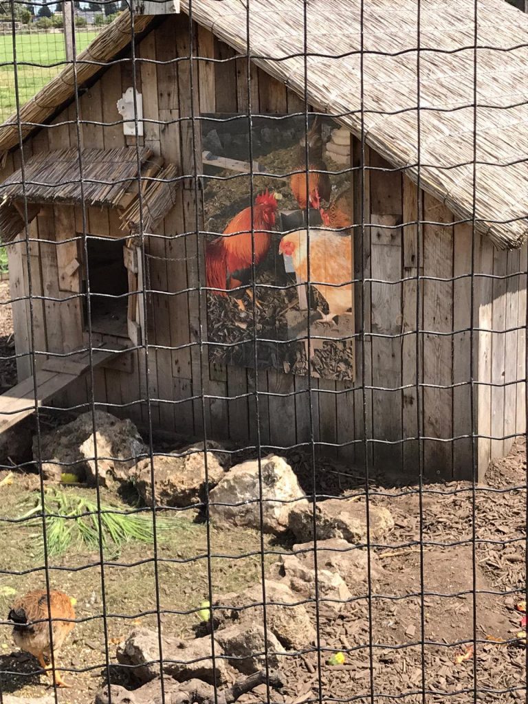 Uit de moestuin: fotoposter