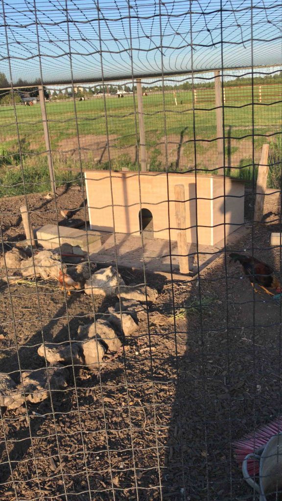 Uit de moestuin: nieuw kippenhok