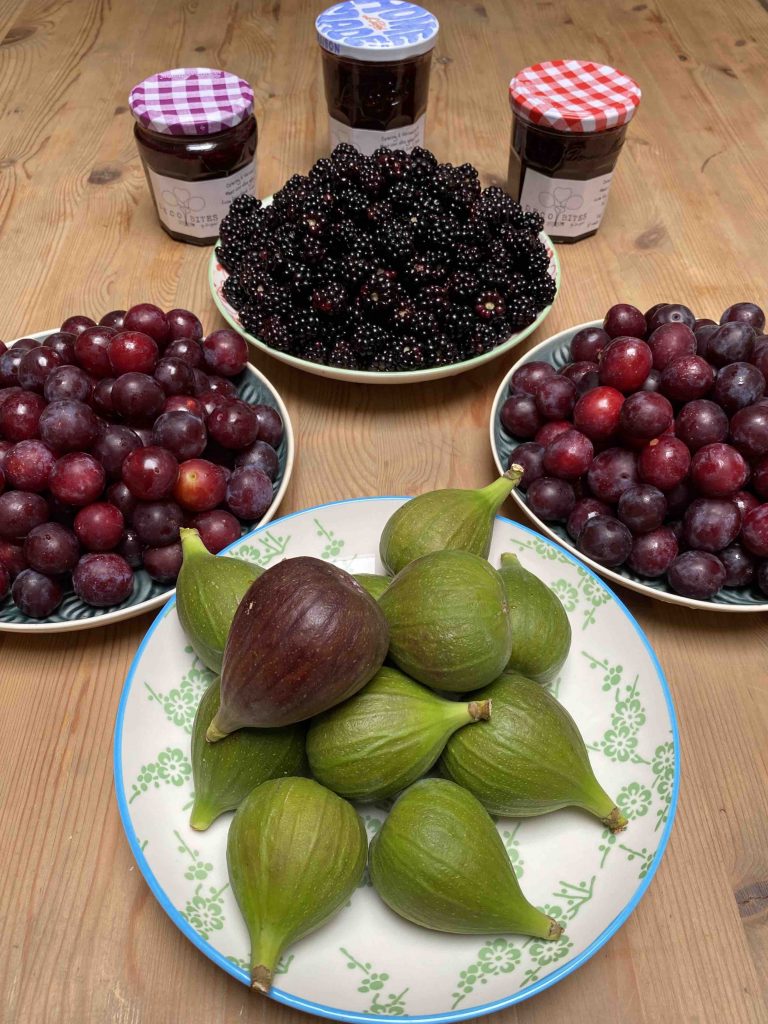 Bramenjam