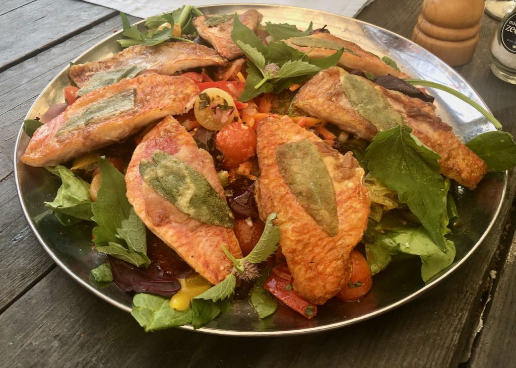 Saltimbocca van rode mul