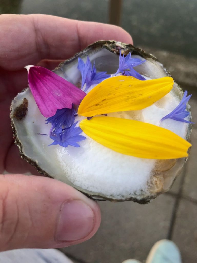 Oester gin&tonic