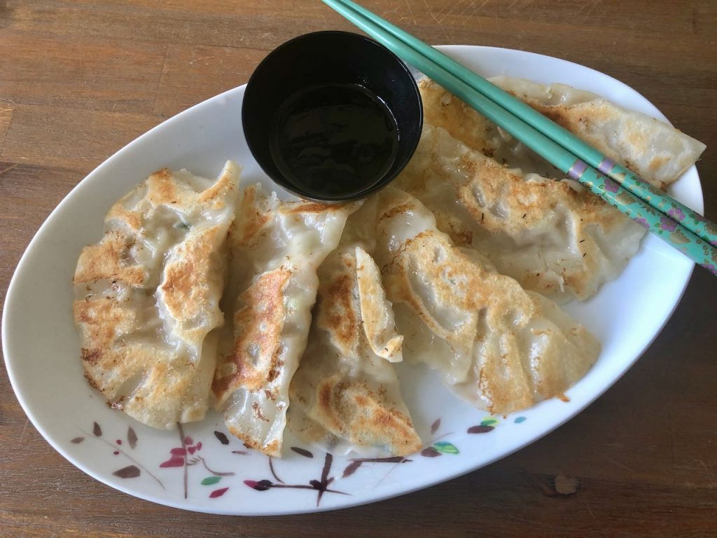 gyoza met kip