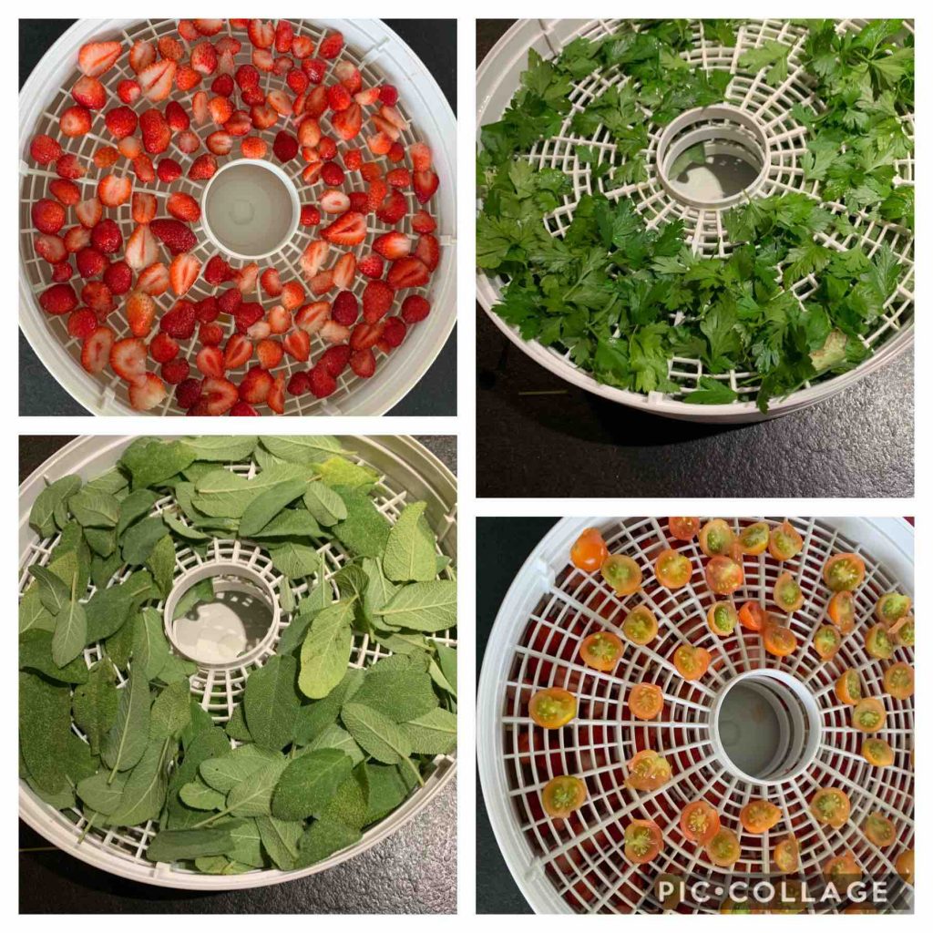 Uit de moestuin - voedsel drogen