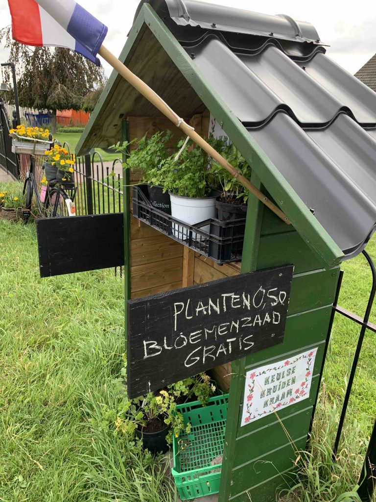 uit de moestuin - bloemzaden