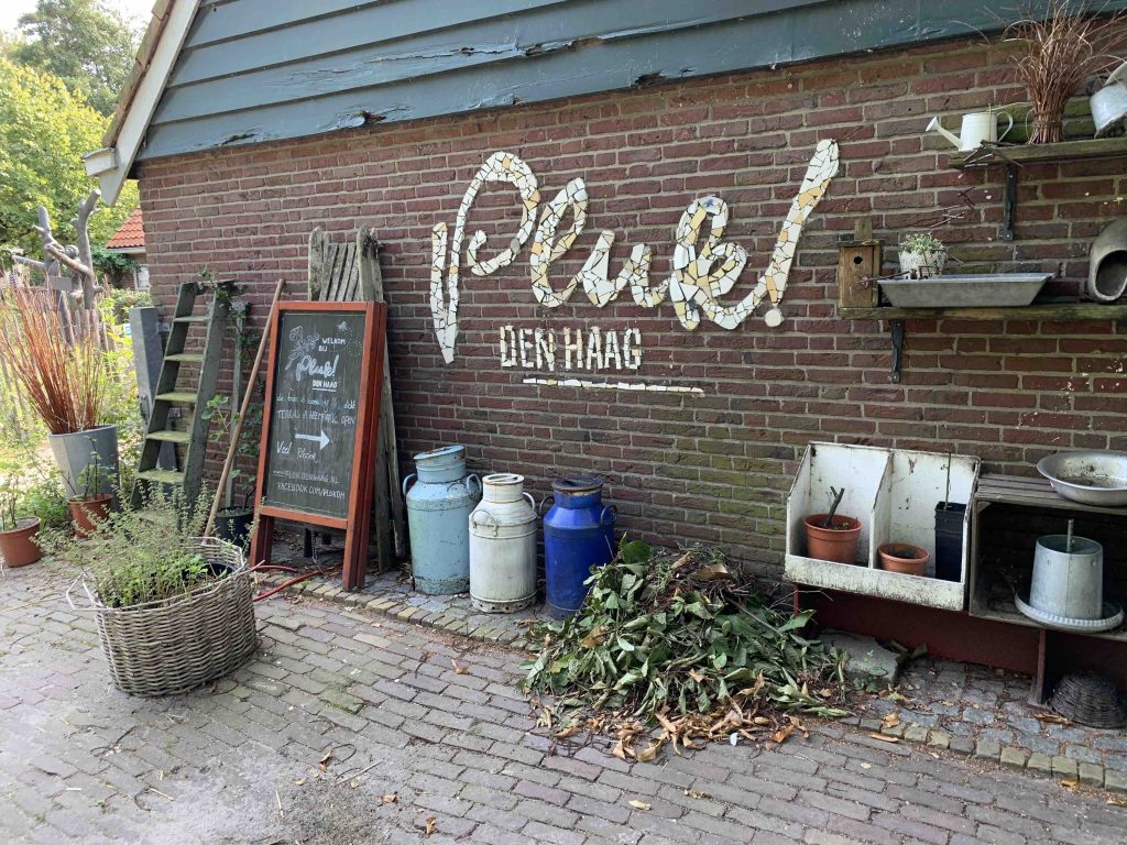 uit de moestuin - pluk