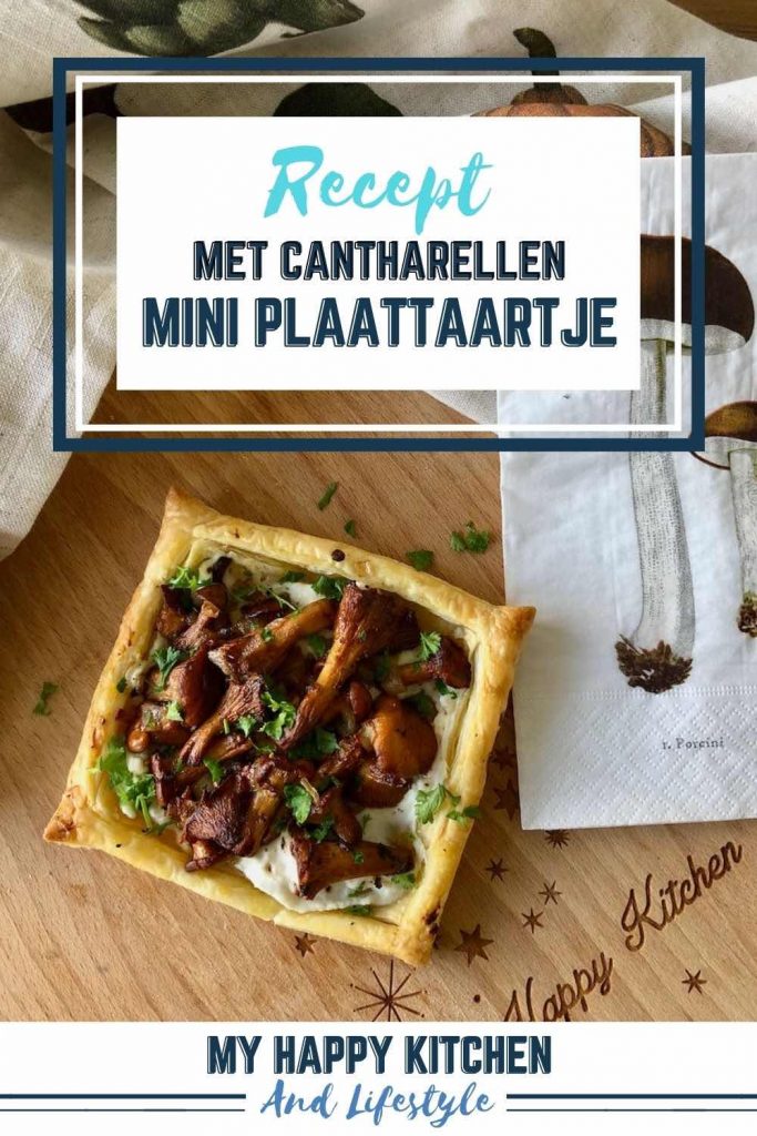 Pinterest pin mini plaattaartje
