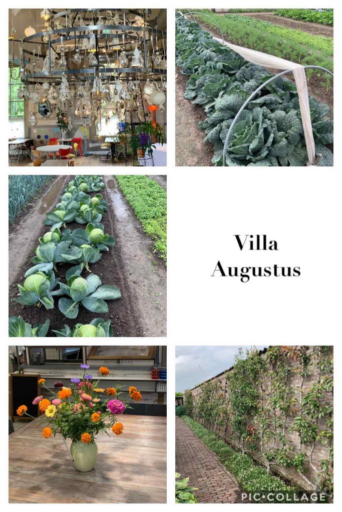 Uit de moestuin - Villa Augustus