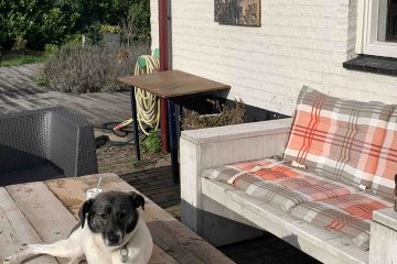 Uit de moestuin - hond pien in de zon