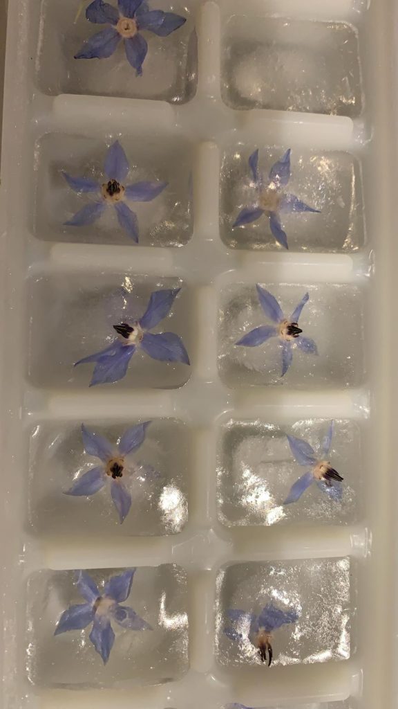 ijsblokjes met bloemen