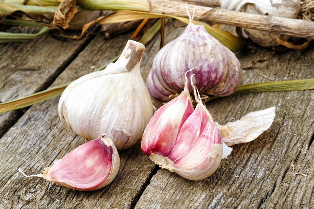 knoflook