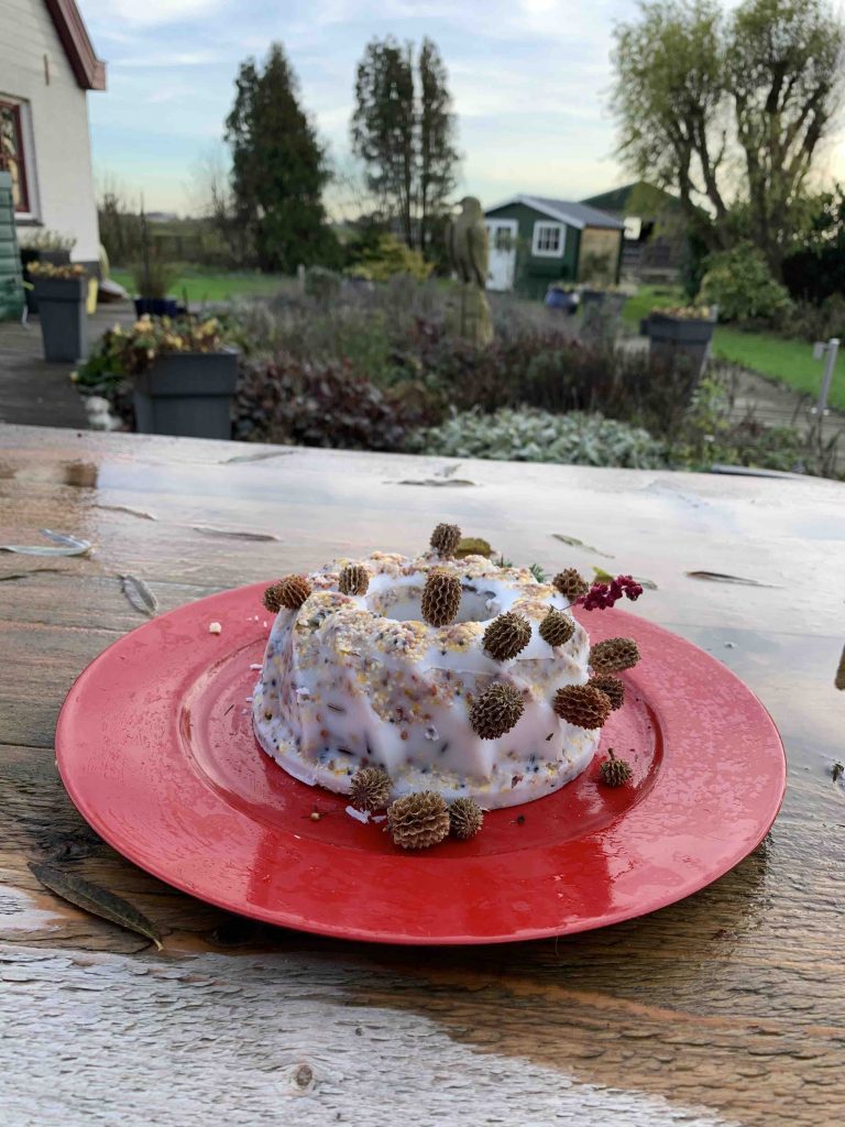 Uit de moestuin vogeltaart